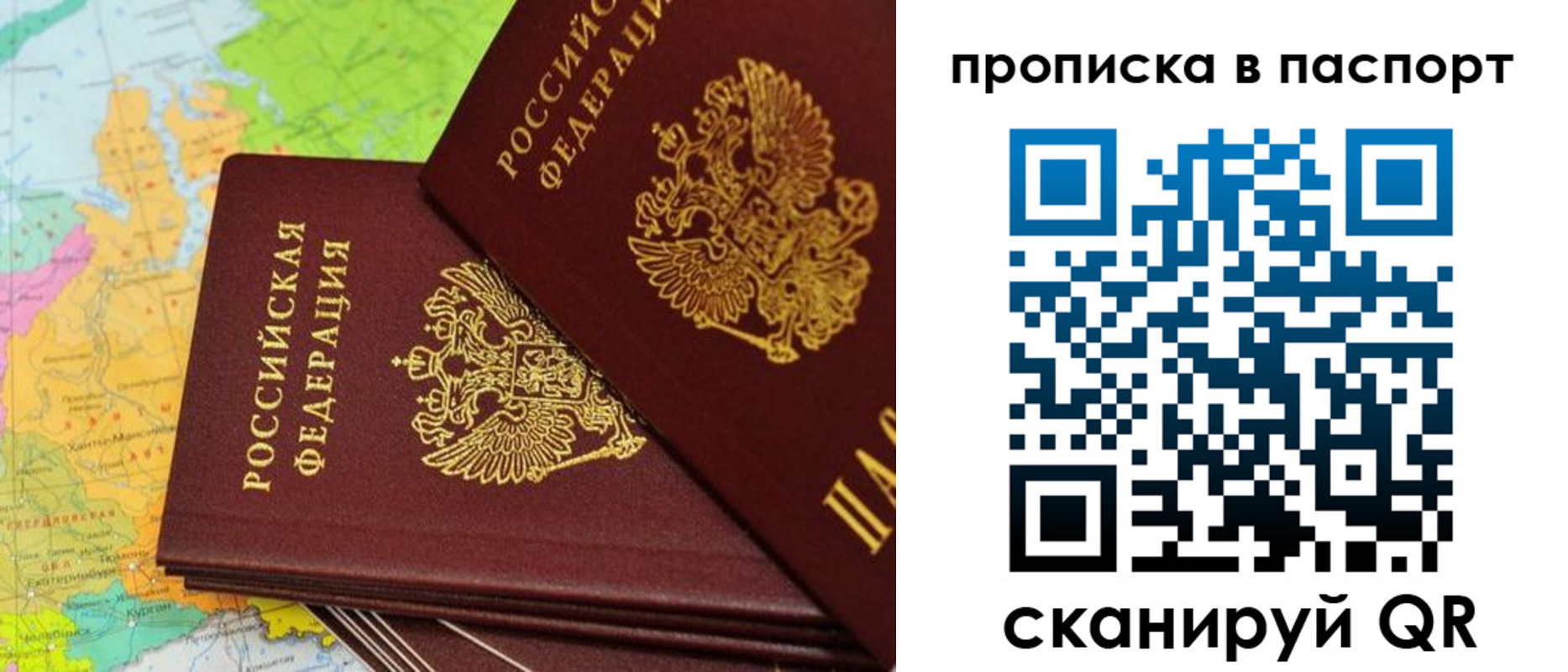 прописка поиск в Сафоново